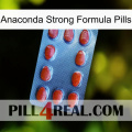 Anaconda Strong Formula Pills 06